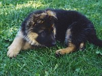 Queira BH1, 11.7.2001 - 25.9.2010 